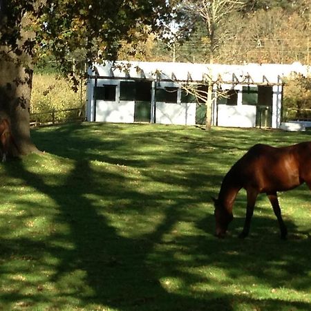 Vredenhof Farm Cottage Elgin  Luaran gambar