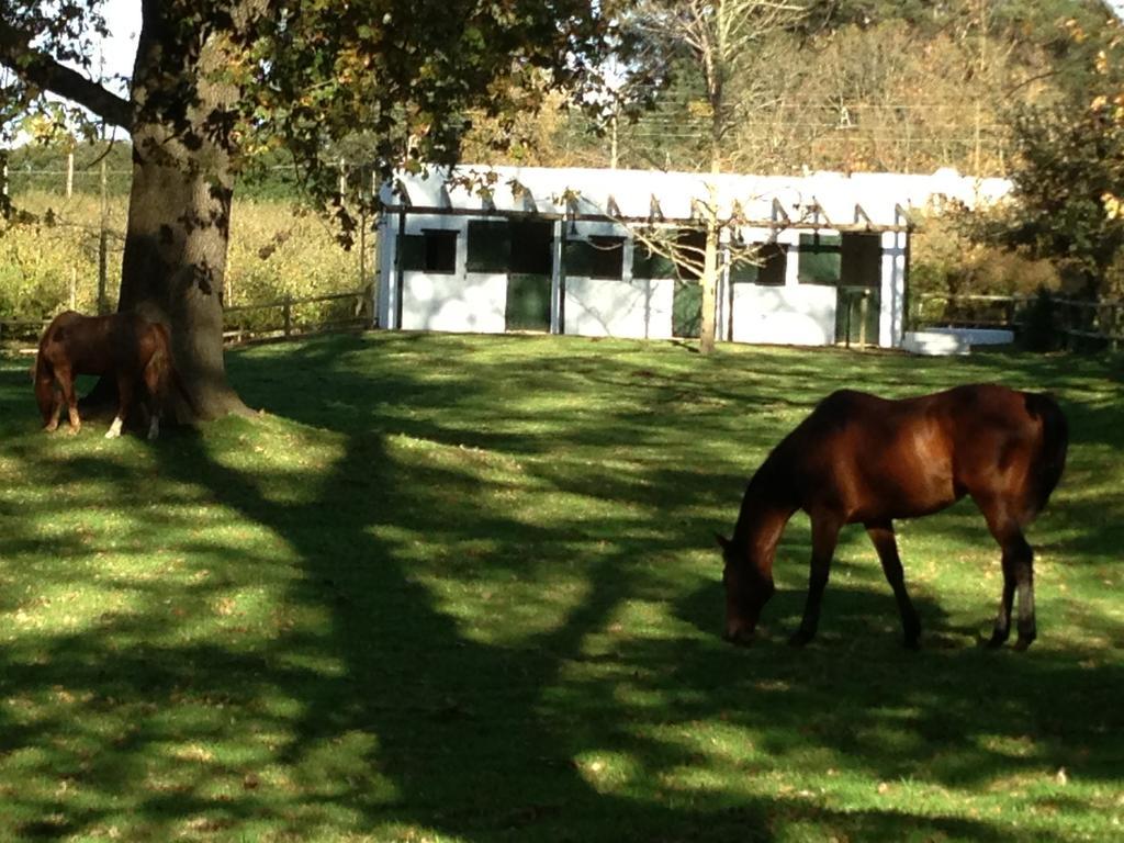 Vredenhof Farm Cottage Elgin  Luaran gambar